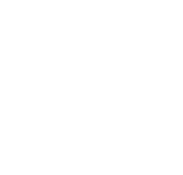 logo_dedalo_bianco