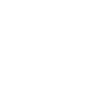 logo-instagram-01_W